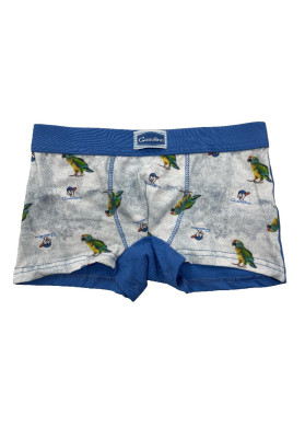 Chlapecké boxerky Gasolino 3714/F zucchero