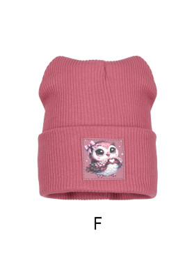 Dětská celoroční čepice AJS 52-029/F